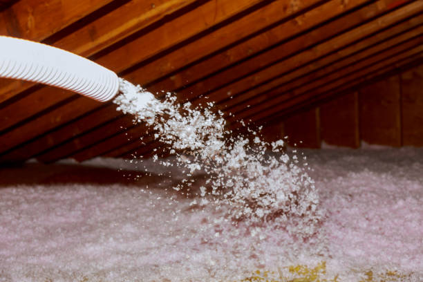 Best Specialized Insulation Services in Nicoma Park, OK