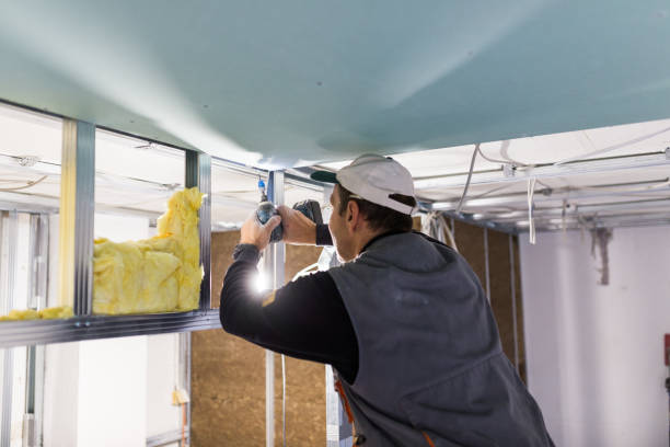 Best Eco-Friendly Insulation in Nicoma Park, OK